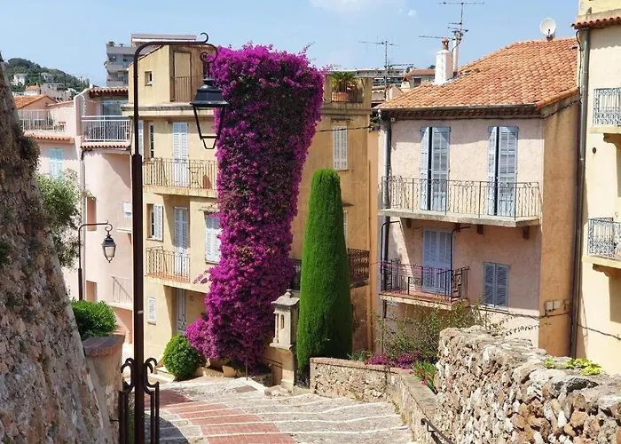 Hyper Centre Cannes - Plages Et Palais 5Min A Pied