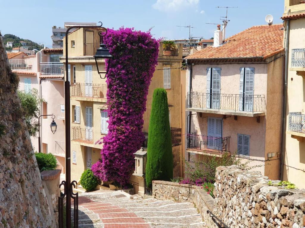 Appartement Hyper Centre - Plages Et Palais 5min A Pied Cannes